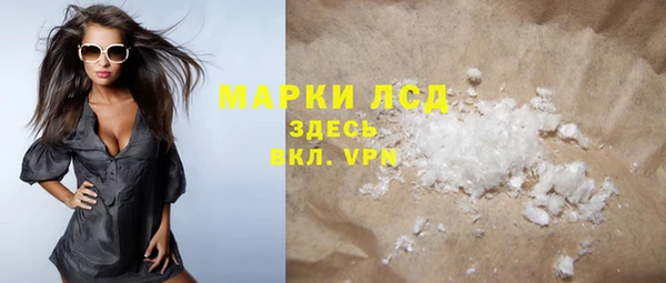 индика Зеленодольск