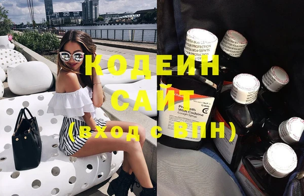 индика Зеленодольск