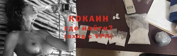 индика Зеленодольск