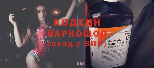 индика Зеленодольск