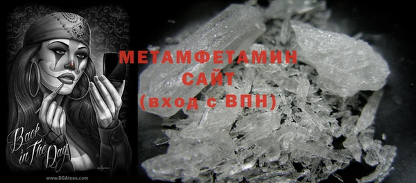 индика Зеленодольск