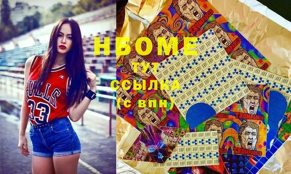 индика Зеленодольск