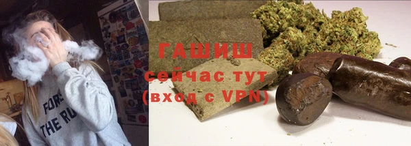индика Зеленодольск